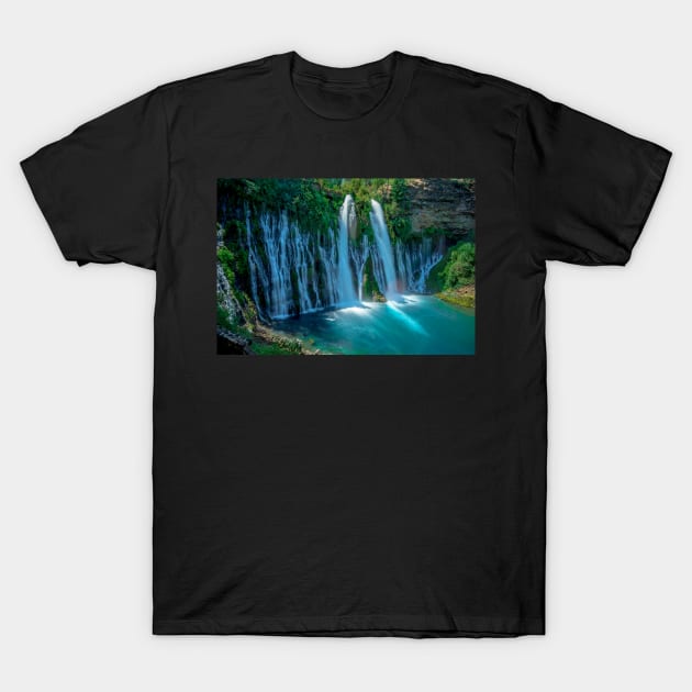 McArthur-Burney Falls T-Shirt by Ckauzmann